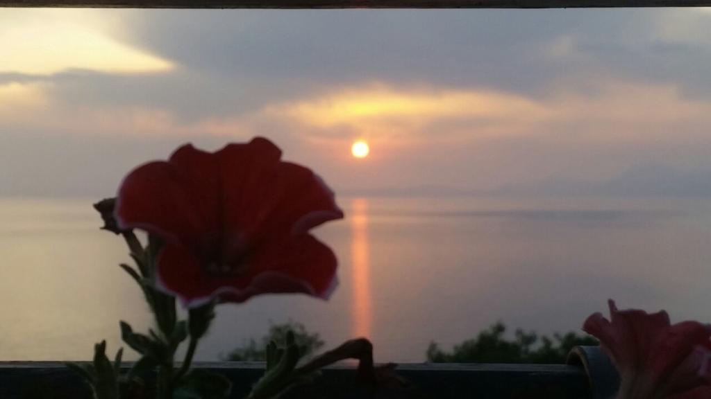 B&B "L'Eco Del Mare" Agropoli Buitenkant foto